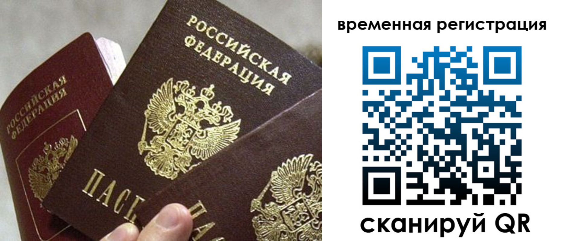 купить прописку в Нелидово